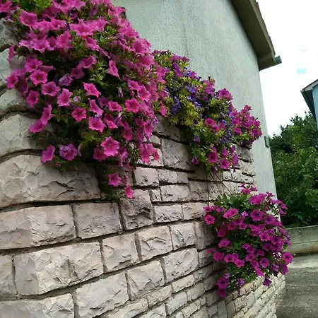 Apartament Lux D'or Pula