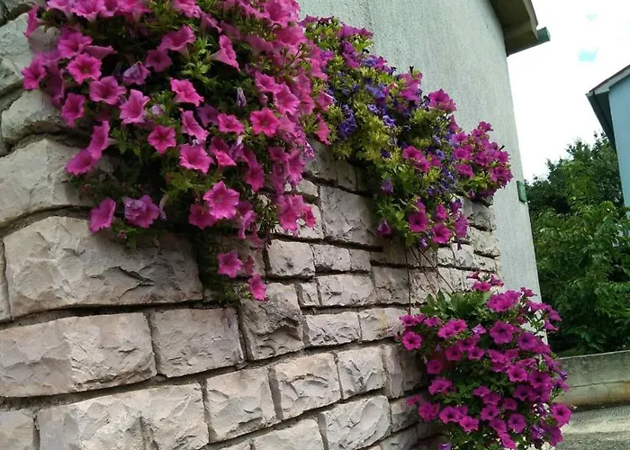 아파트 Lux D'or 풀라