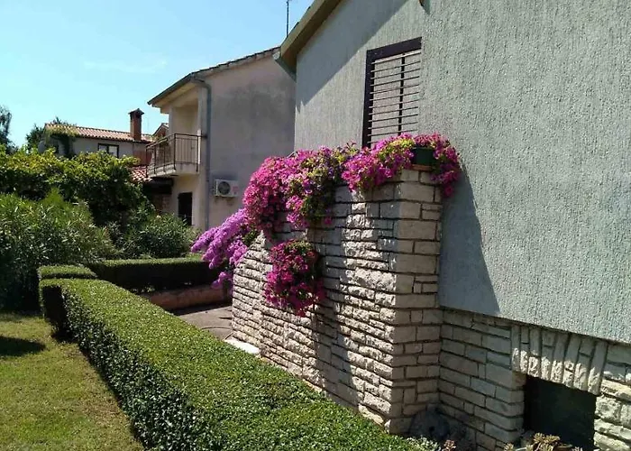 Lux D'or 아파트 *