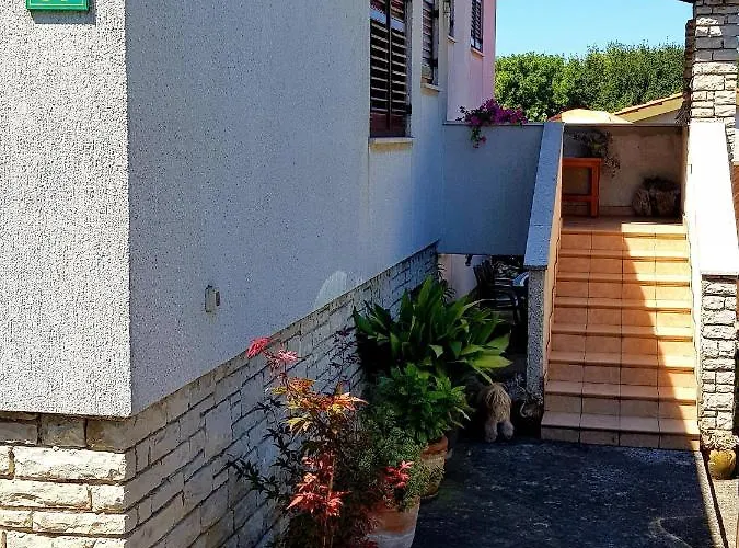 Lux D'or