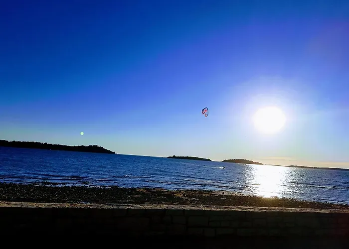 Lux D'or 아파트 *