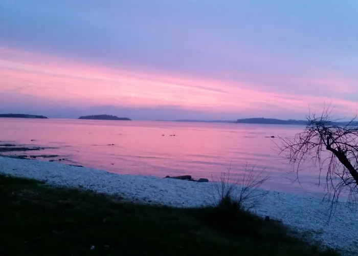 Lux D'or 아파트 풀라